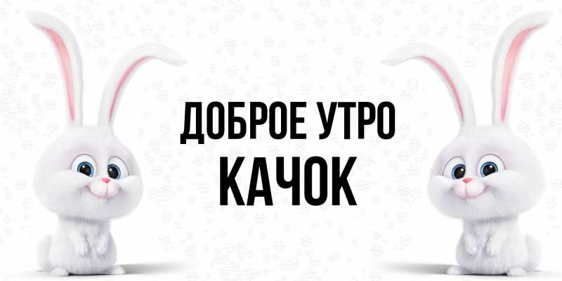 Картинка Доброе утро, Качок