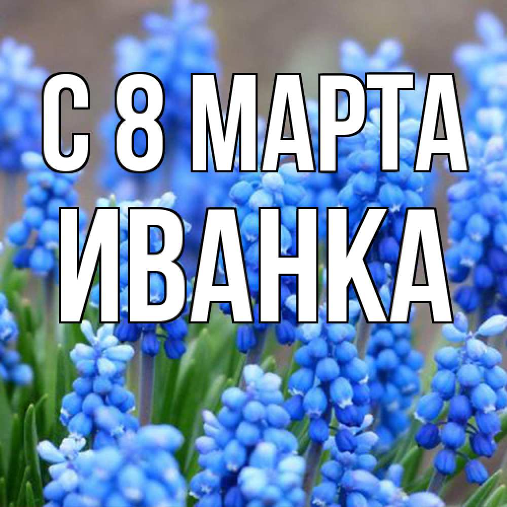 Открытка на каждый день с именем, Иванка C 8 МАРТА Поздравительная открытка для женщин с цветами на праздничную дату Прикольная открытка с пожеланием онлайн скачать бесплатно 