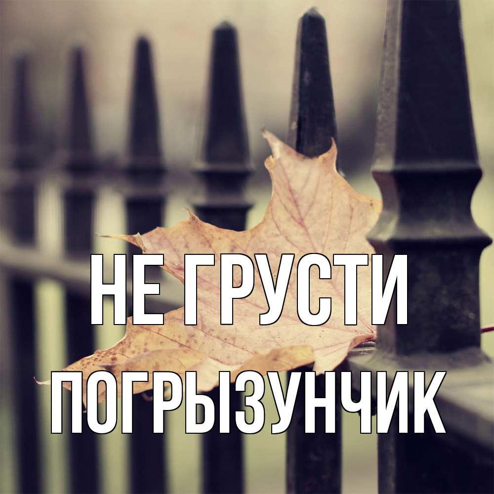 Открытка на каждый день с именем, Погрызунчик Не грусти лист клена Прикольная открытка с пожеланием онлайн скачать бесплатно 