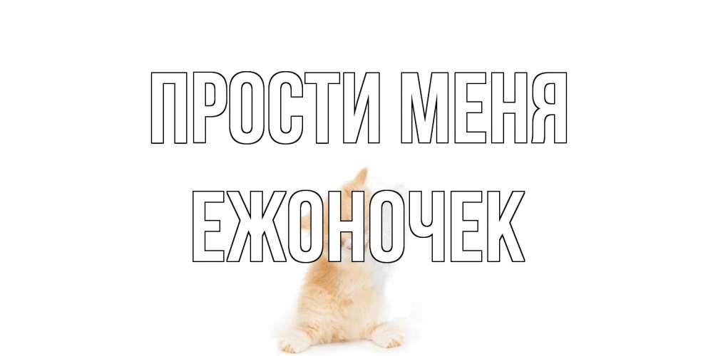 Открытка на каждый день с именем, Ежоночек Прости меня кот Прикольная открытка с пожеланием онлайн скачать бесплатно 