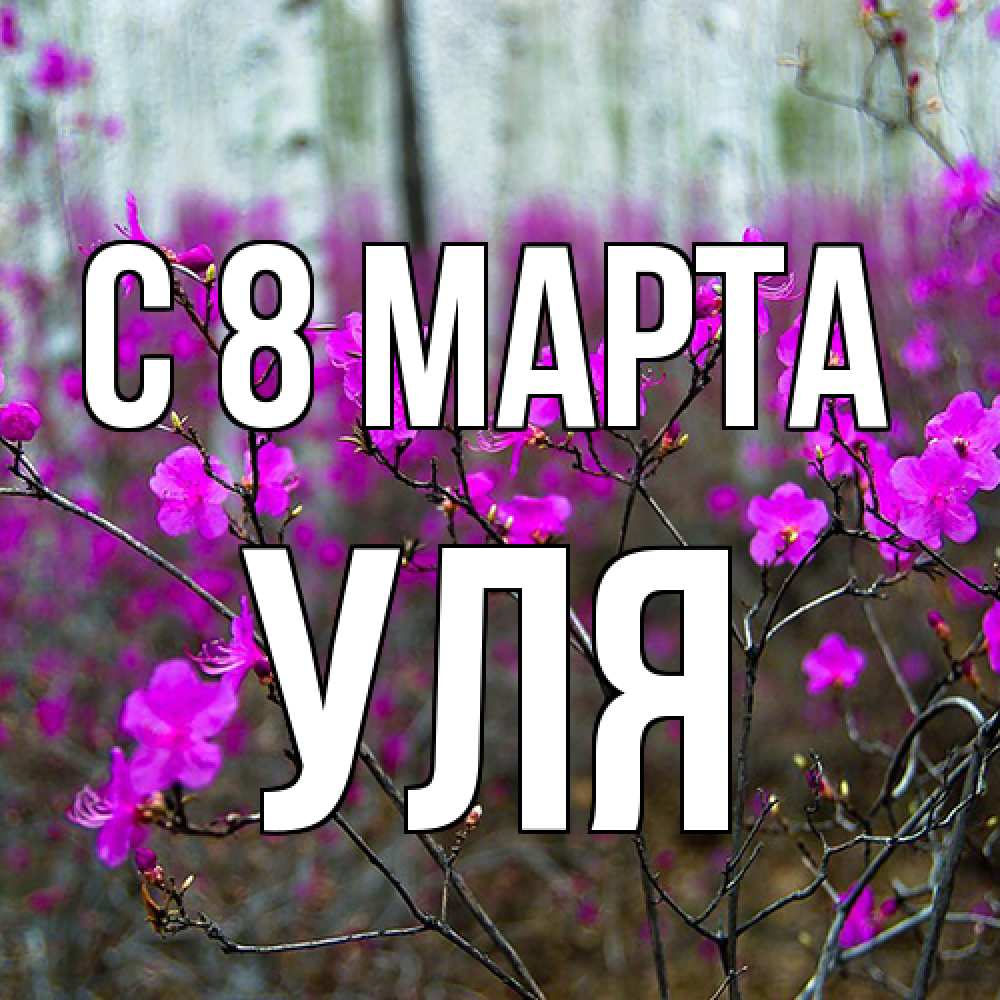 Открытка на каждый день с именем, Уля C 8 МАРТА дикие цветы Прикольная открытка с пожеланием онлайн скачать бесплатно 