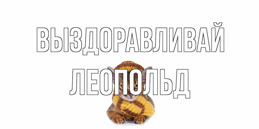 Открытка на каждый день с именем, Леопольд Выздоравливай родные не болейте Прикольная открытка с пожеланием онлайн скачать бесплатно 
