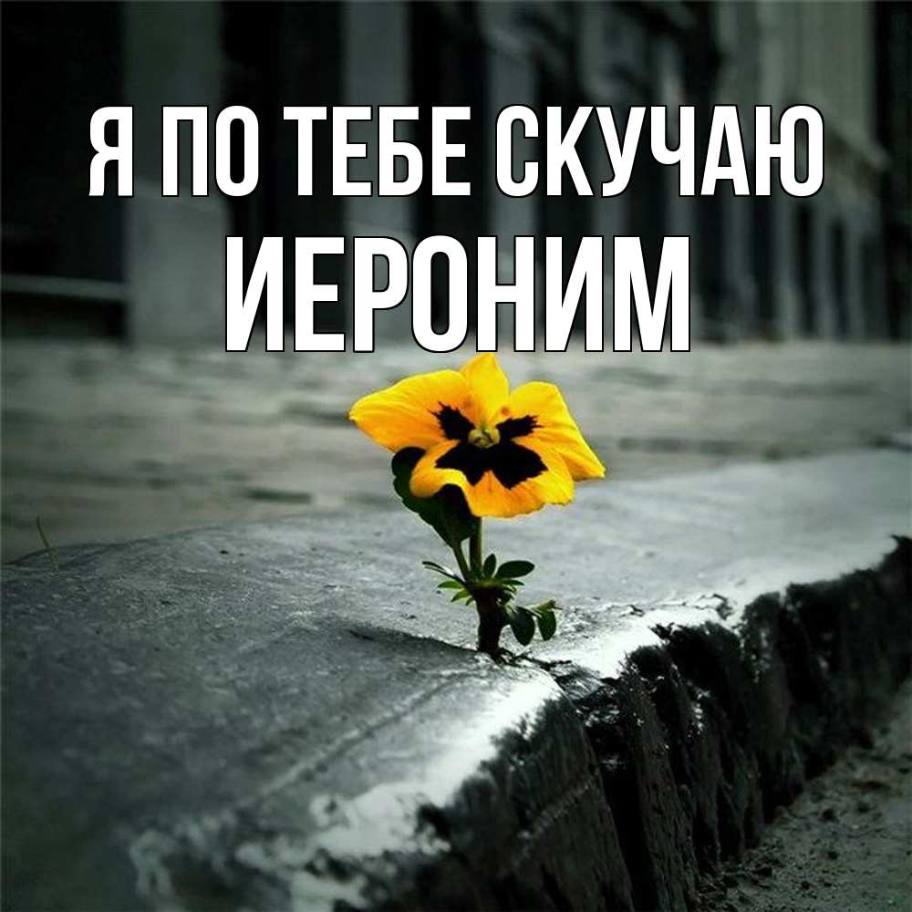 Открытка на каждый день с именем, Иероним Я по тебе скучаю надеюсь будет лучше Прикольная открытка с пожеланием онлайн скачать бесплатно 