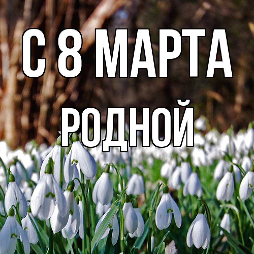 Открытка на каждый день с именем, Родной C 8 МАРТА с подснежниками 1 Прикольная открытка с пожеланием онлайн скачать бесплатно 