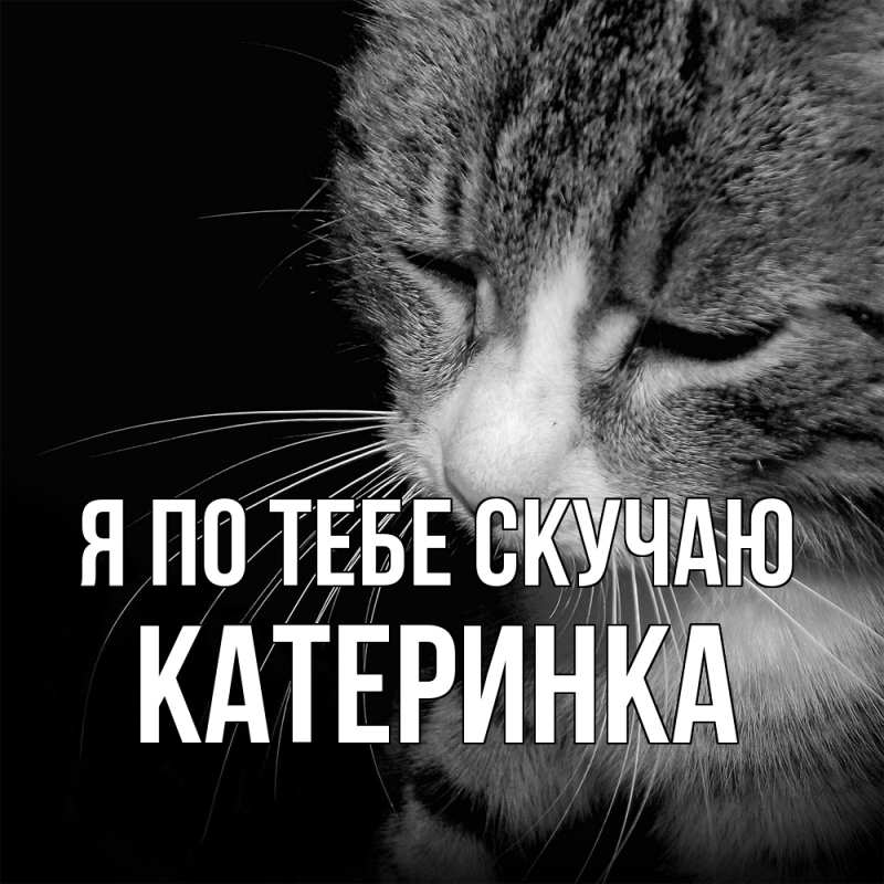 Картинка Я по тебе скучаю, Катеринка