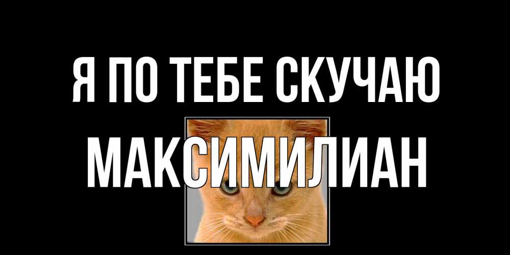 Открытка на каждый день с именем, Максимилиан Я по тебе скучаю открытки рыжий котенок скучает по тебе Прикольная открытка с пожеланием онлайн скачать бесплатно 