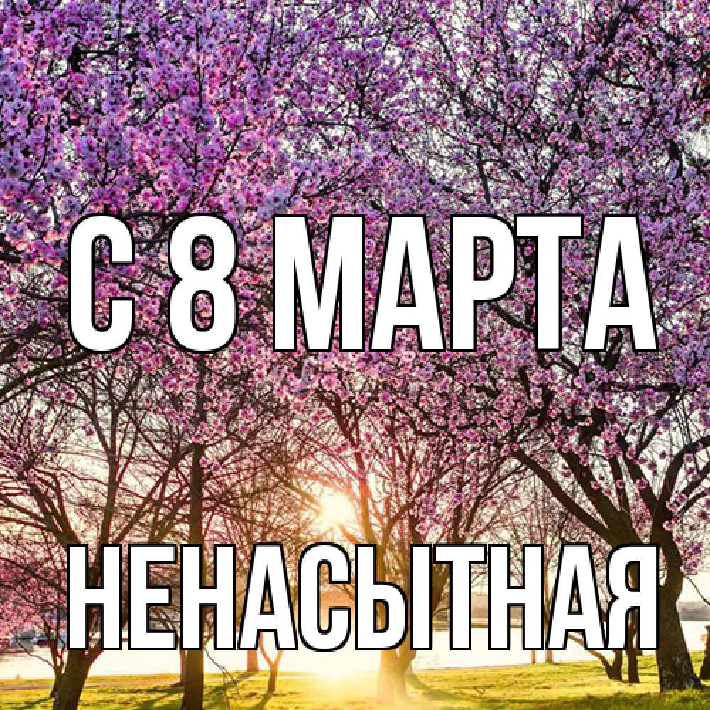 Открытка на каждый день с именем, Ненасытная C 8 МАРТА международный женский день Прикольная открытка с пожеланием онлайн скачать бесплатно 