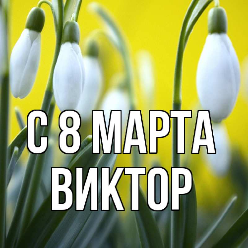 Картинка C 8 МАРТА, Виктор