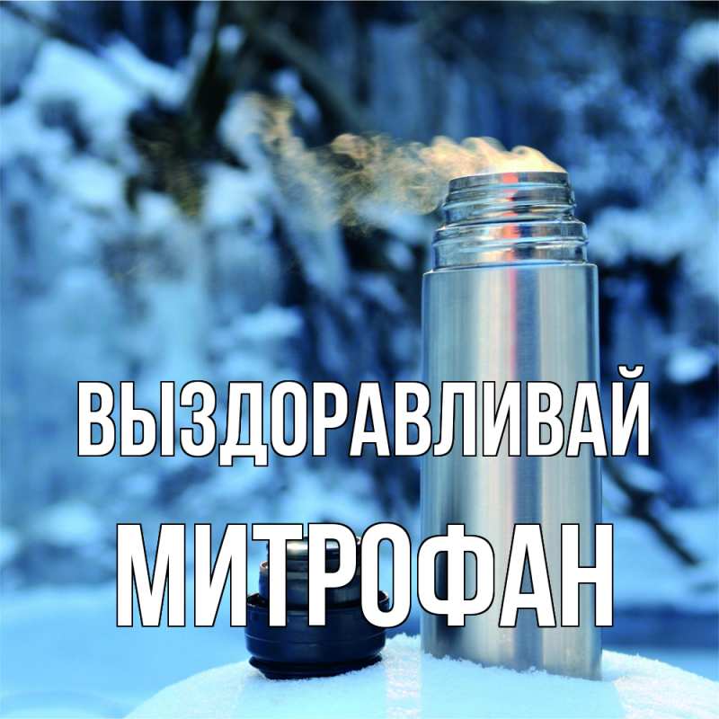 Картинка Выздоравливай, Митрофан