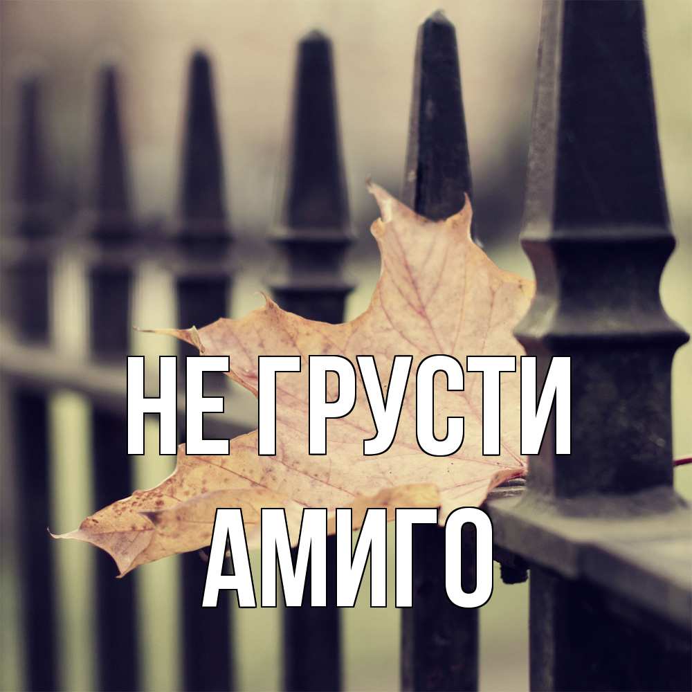 Открытка на каждый день с именем, Амиго Не грусти лист клена Прикольная открытка с пожеланием онлайн скачать бесплатно 