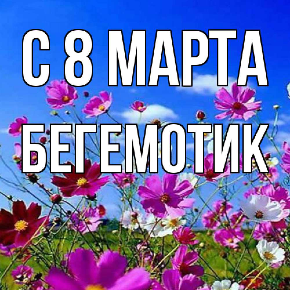 Открытка на каждый день с именем, Бегемотик C 8 МАРТА цветы Прикольная открытка с пожеланием онлайн скачать бесплатно 