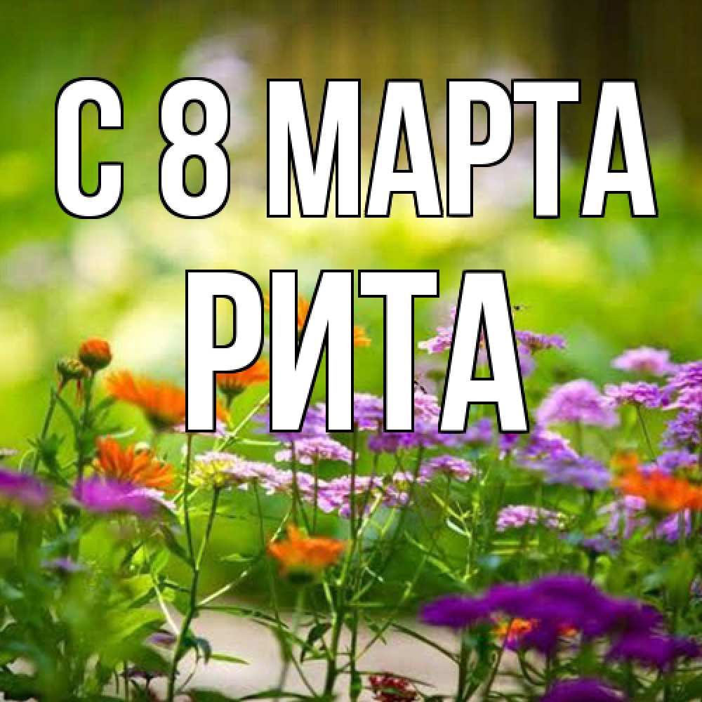 Открытка на каждый день с именем, Рита C 8 МАРТА цветы Прикольная открытка с пожеланием онлайн скачать бесплатно 