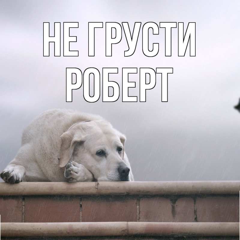 Картинка Не грусти, Роберт