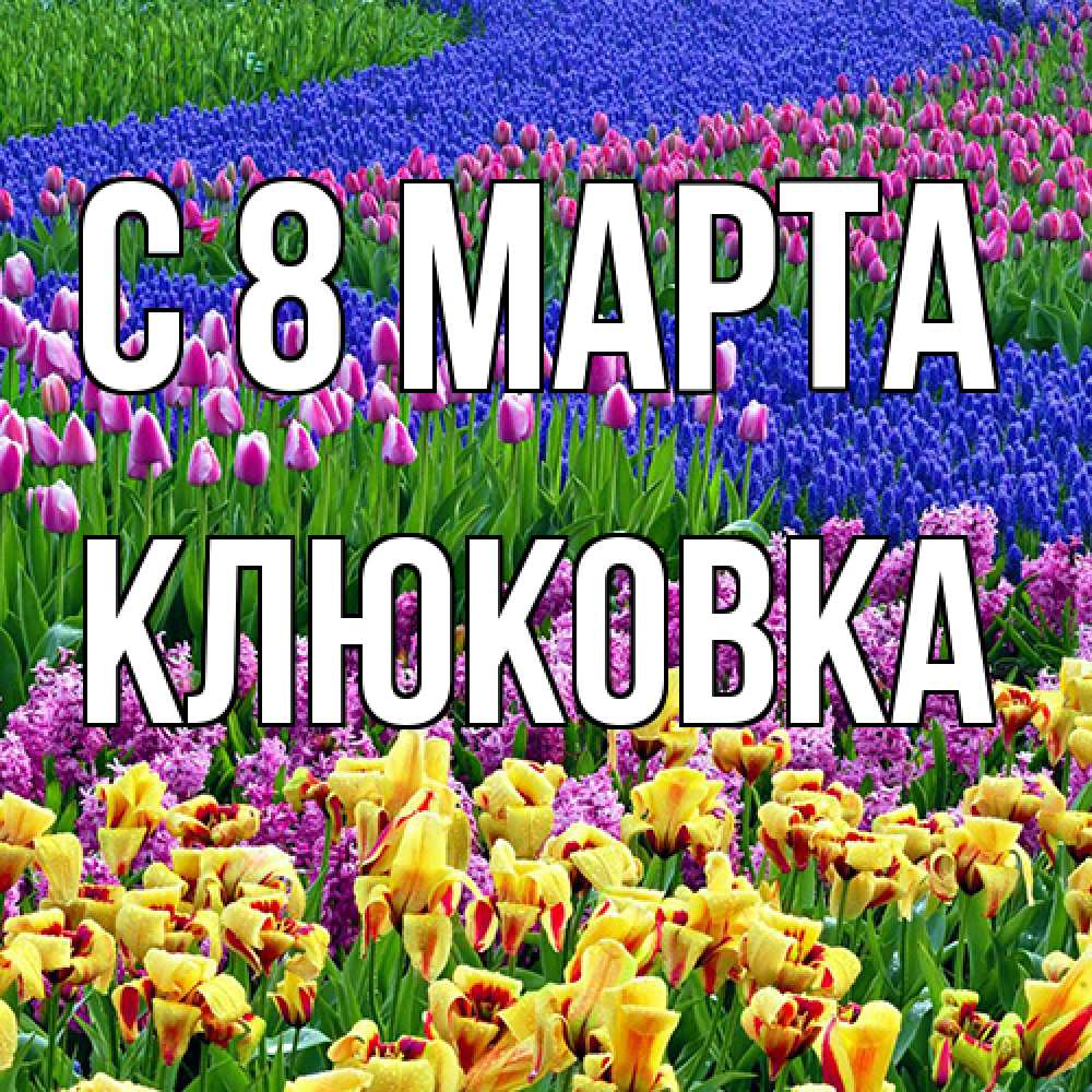 Открытка на каждый день с именем, клюковка C 8 МАРТА цветы Прикольная открытка с пожеланием онлайн скачать бесплатно 
