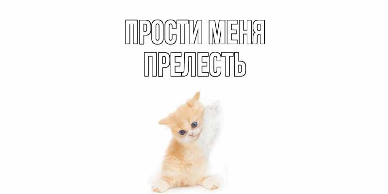 Картинка Прости меня, прелесть