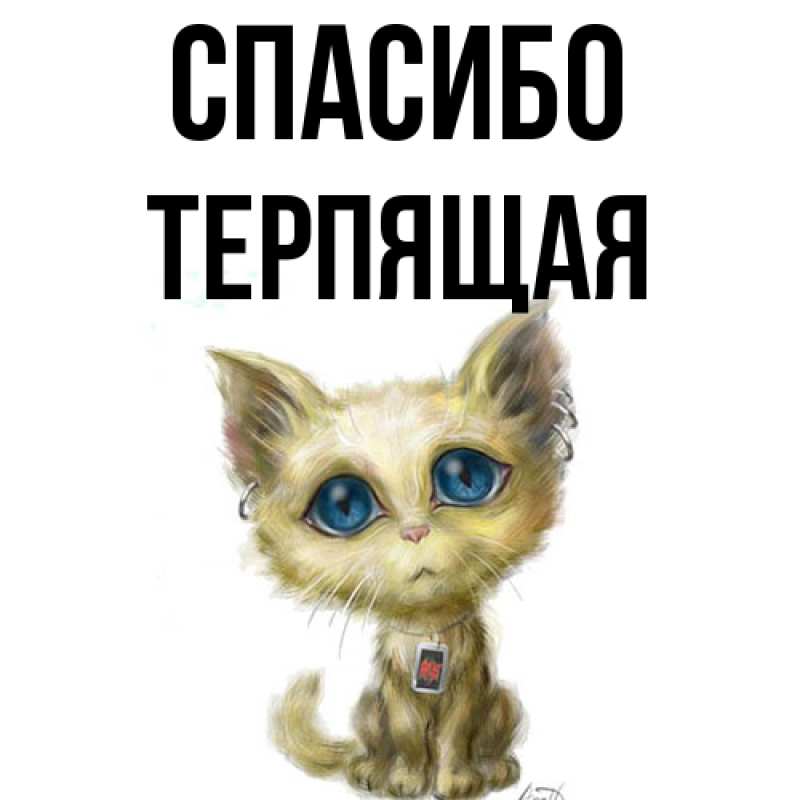 Картинка Спасибо, Терпящая