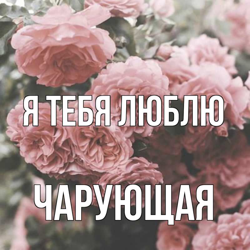 Картинка Я тебя люблю, Чаpующая