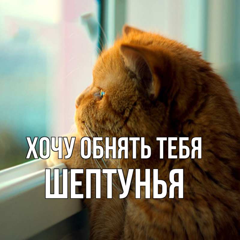 Картинка Хочу обнять тебя, Шептунья