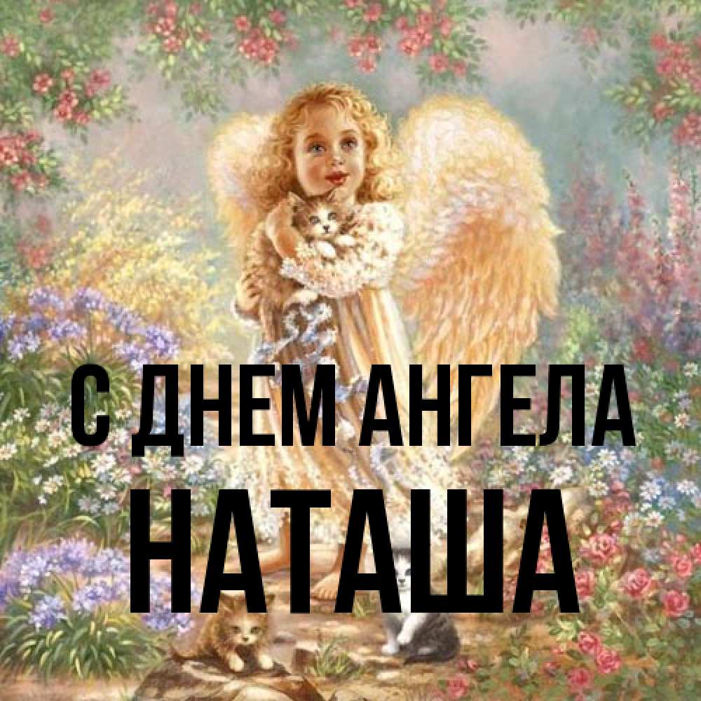 Открытка на каждый день с именем, Наташа С днем ангела держит котенка Прикольная открытка с пожеланием онлайн скачать бесплатно 
