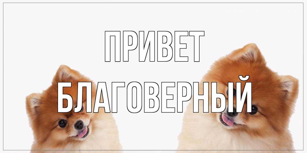 Открытка на каждый день с именем, Благоверный Привет привет Прикольная открытка с пожеланием онлайн скачать бесплатно 