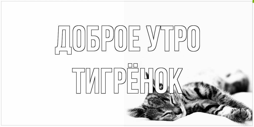 Открытка на каждый день с именем, Тигрёнок Доброе утро котуся Прикольная открытка с пожеланием онлайн скачать бесплатно 