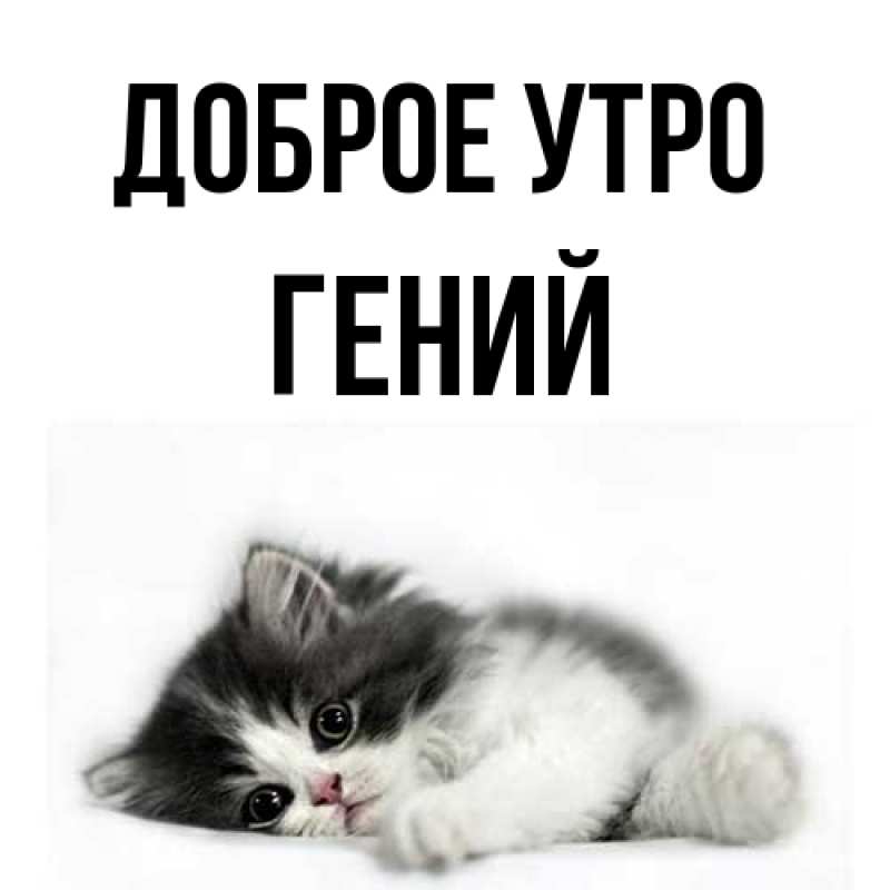 Картинка Доброе утро, Гений