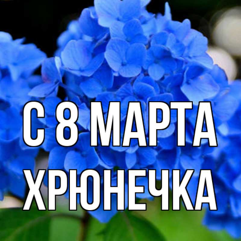 Картинка C 8 МАРТА, Хрюнечка