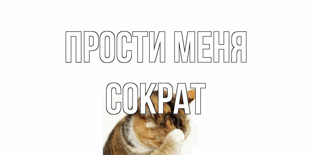 Открытка на каждый день с именем, Сократ Прости меня кот Прикольная открытка с пожеланием онлайн скачать бесплатно 