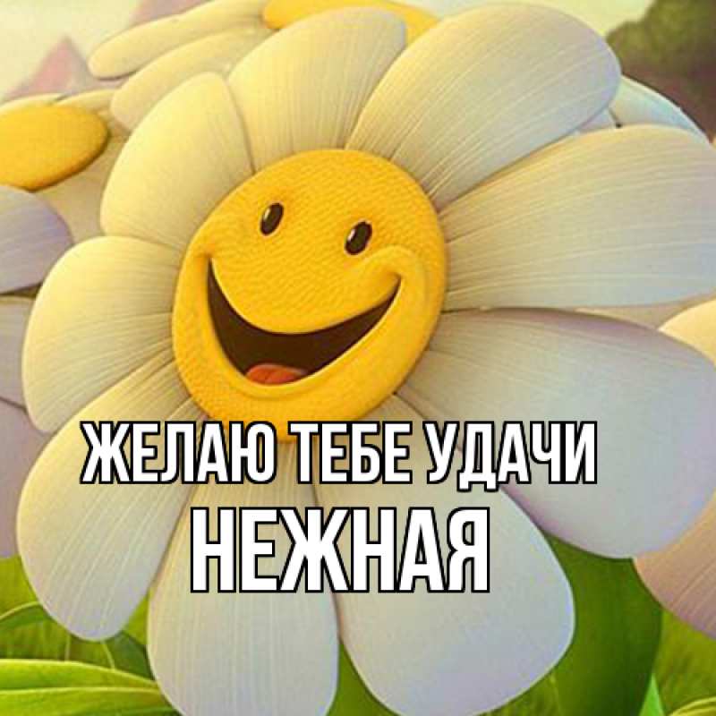 Картинка Желаю тебе удачи, Нежная