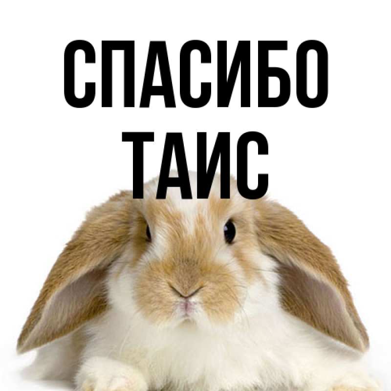 Картинка Спасибо, Таис