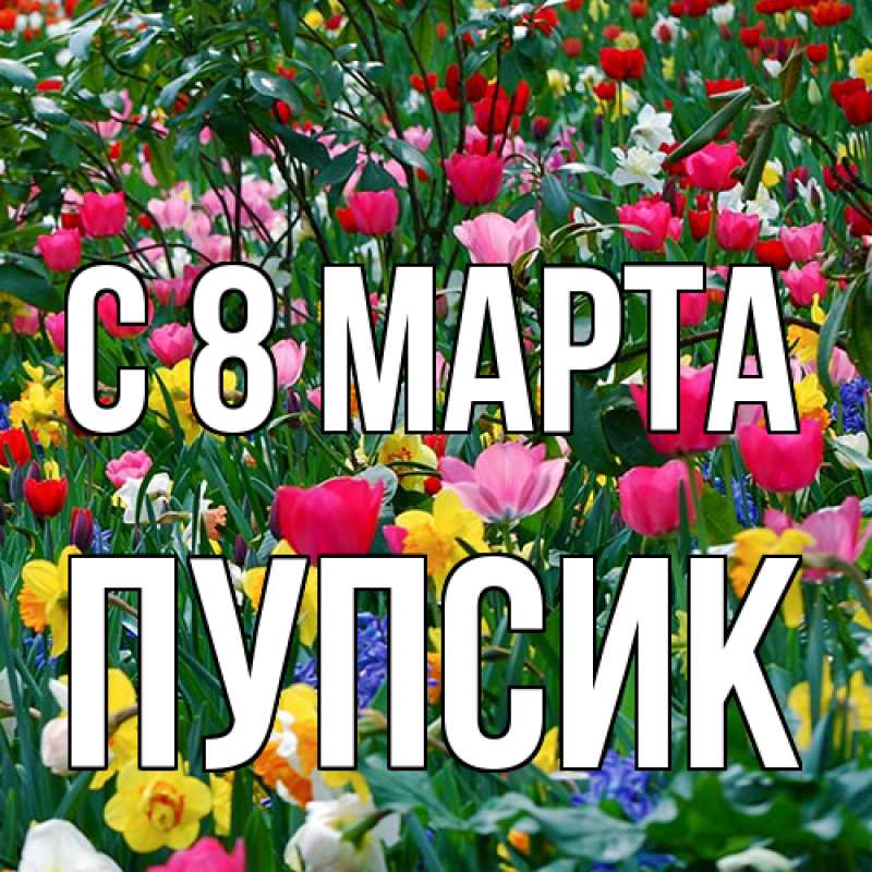 Картинка C 8 МАРТА, пупсик