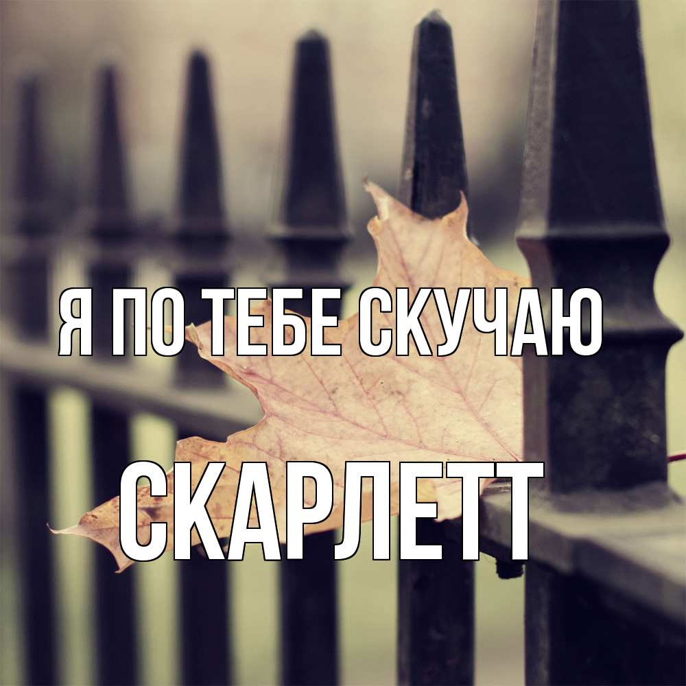 Открытка на каждый день с именем, Скарлетт Я по тебе скучаю очень скучно Прикольная открытка с пожеланием онлайн скачать бесплатно 