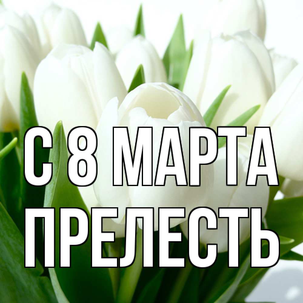 Открытка на каждый день с именем, прелесть C 8 МАРТА цветы Прикольная открытка с пожеланием онлайн скачать бесплатно 