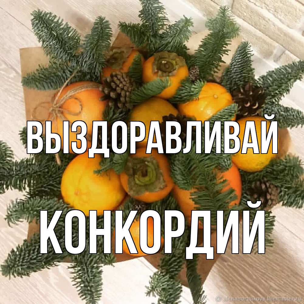 Открытка на каждый день с именем, Конкордий Выздоравливай апельсины и хурьма Прикольная открытка с пожеланием онлайн скачать бесплатно 