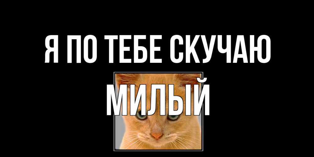 Открытка на каждый день с именем, Милый Я по тебе скучаю открытки рыжий котенок скучает по тебе Прикольная открытка с пожеланием онлайн скачать бесплатно 