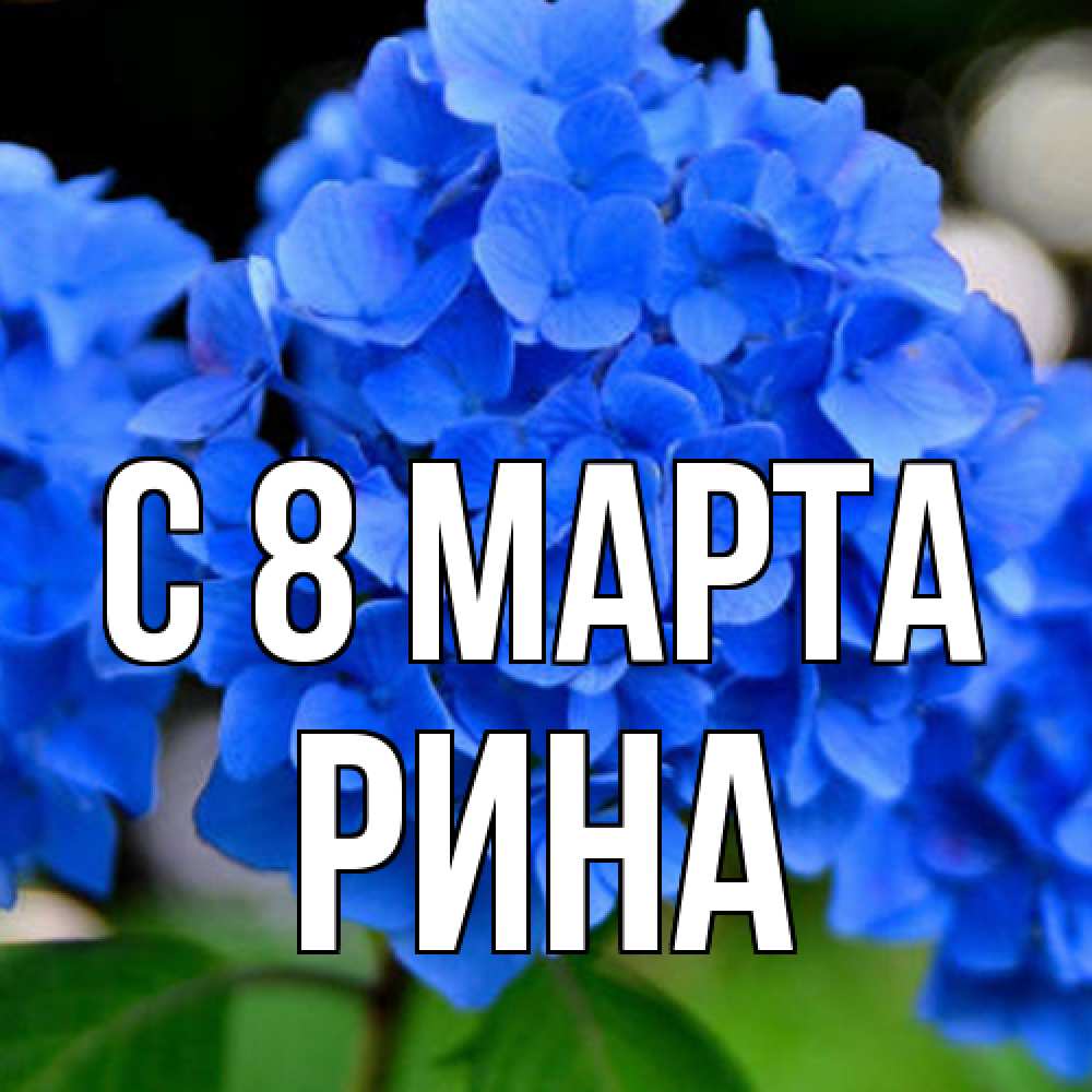 Открытка на каждый день с именем, Рина C 8 МАРТА синие цветы Прикольная открытка с пожеланием онлайн скачать бесплатно 