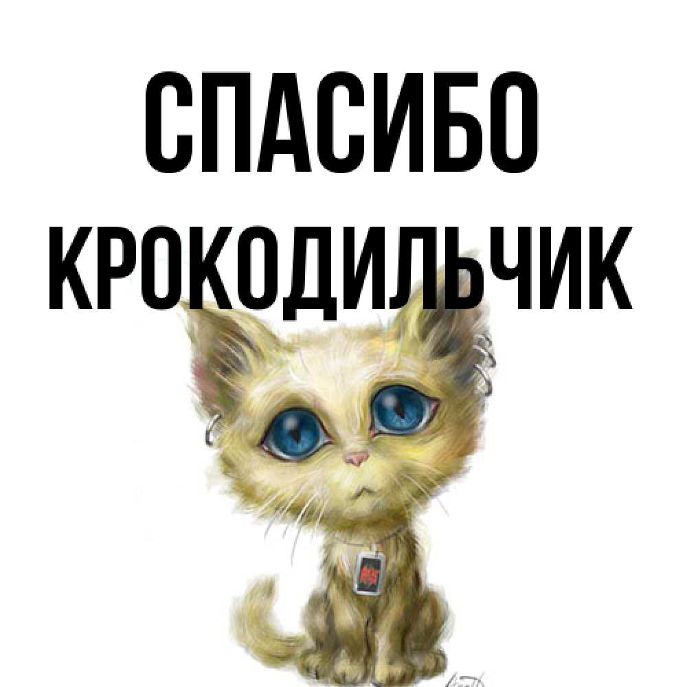 Открытка на каждый день с именем, Крокодильчик Спасибо рисованный кот благодарит вас Прикольная открытка с пожеланием онлайн скачать бесплатно 