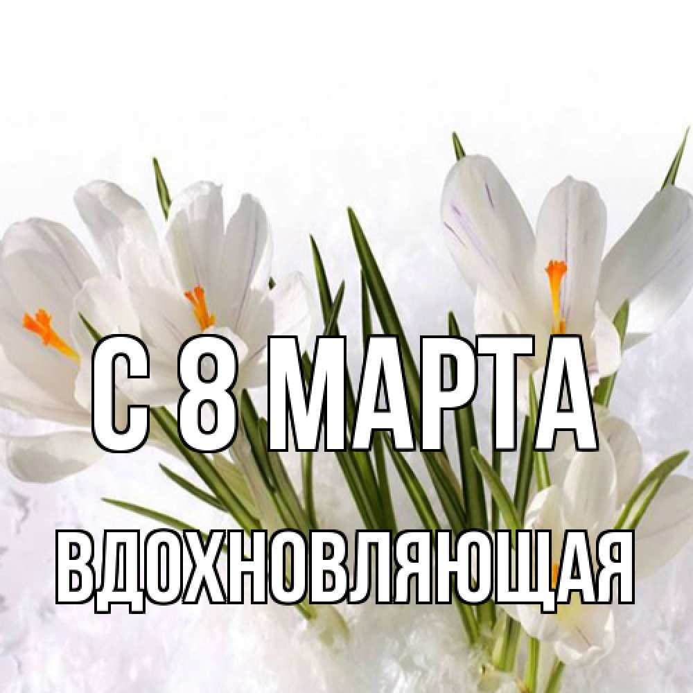 Открытка на каждый день с именем, вдохновляющая C 8 МАРТА под снегом Прикольная открытка с пожеланием онлайн скачать бесплатно 