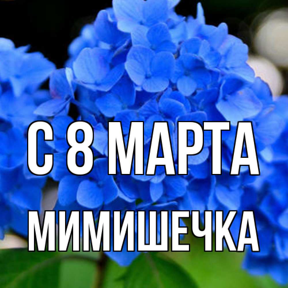 Открытка на каждый день с именем, мимишечка C 8 МАРТА синие цветы Прикольная открытка с пожеланием онлайн скачать бесплатно 