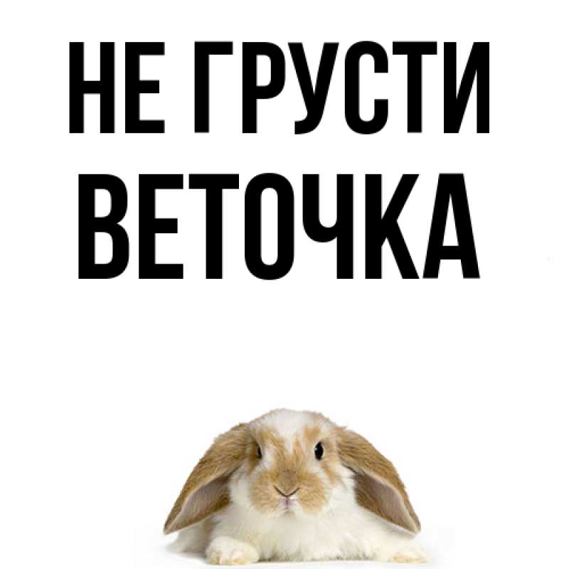 Картинка Не грусти, Веточка