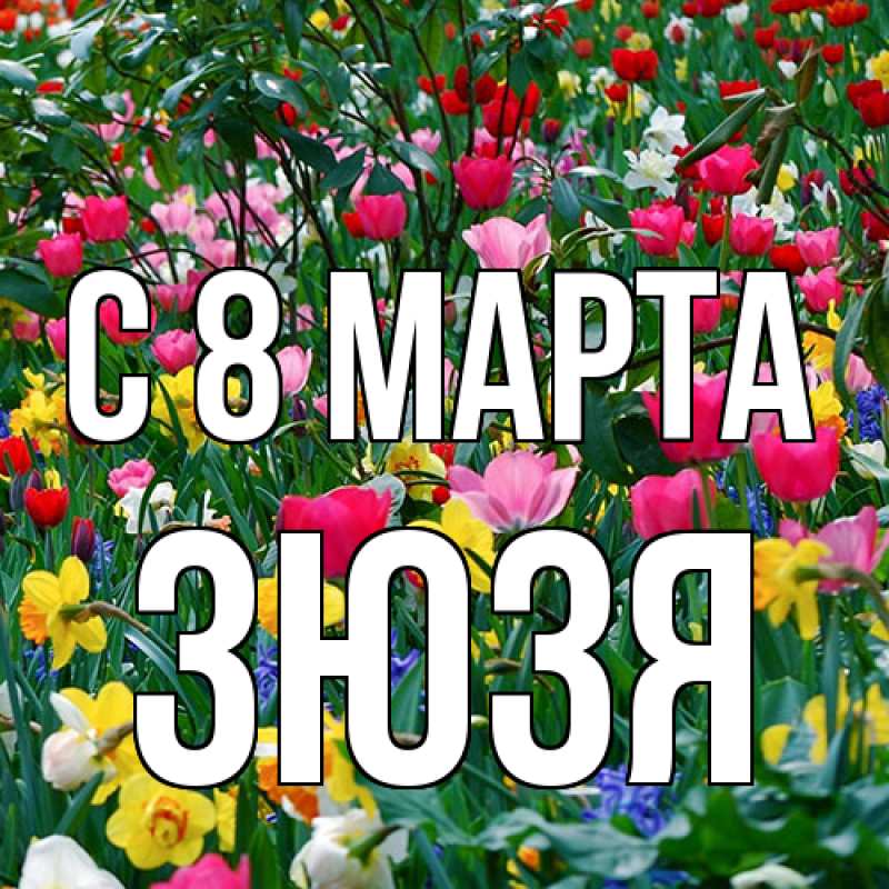 Картинка C 8 МАРТА, Зюзя