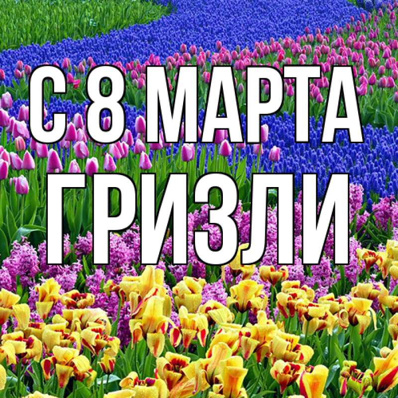 Картинка C 8 МАРТА, Гризли