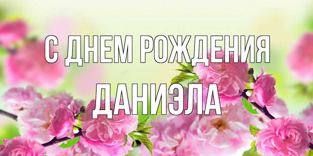 Открытка на каждый день с именем, Даниэла С днем рождения веточки с цветками Прикольная открытка с пожеланием онлайн скачать бесплатно 
