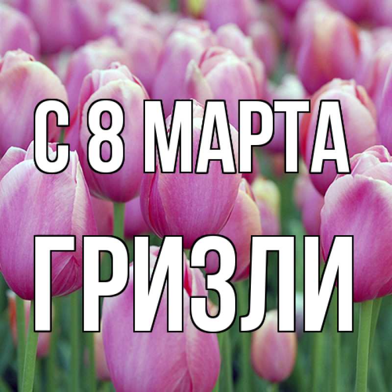 Картинка C 8 МАРТА, Гризли