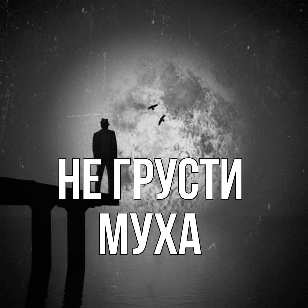 Открытка на каждый день с именем, Муха Не грусти мужчина на мосту Прикольная открытка с пожеланием онлайн скачать бесплатно 