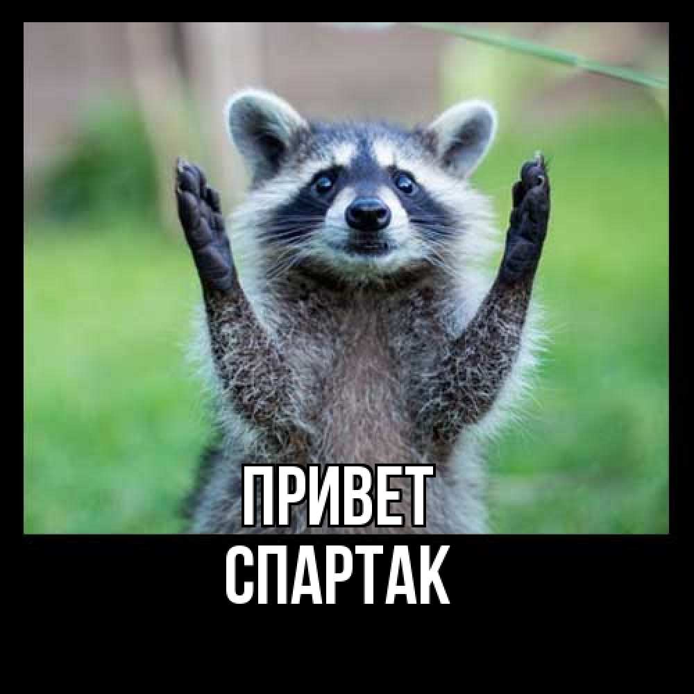 Открытка на каждый день с именем, Спартак Привет животные Прикольная открытка с пожеланием онлайн скачать бесплатно 