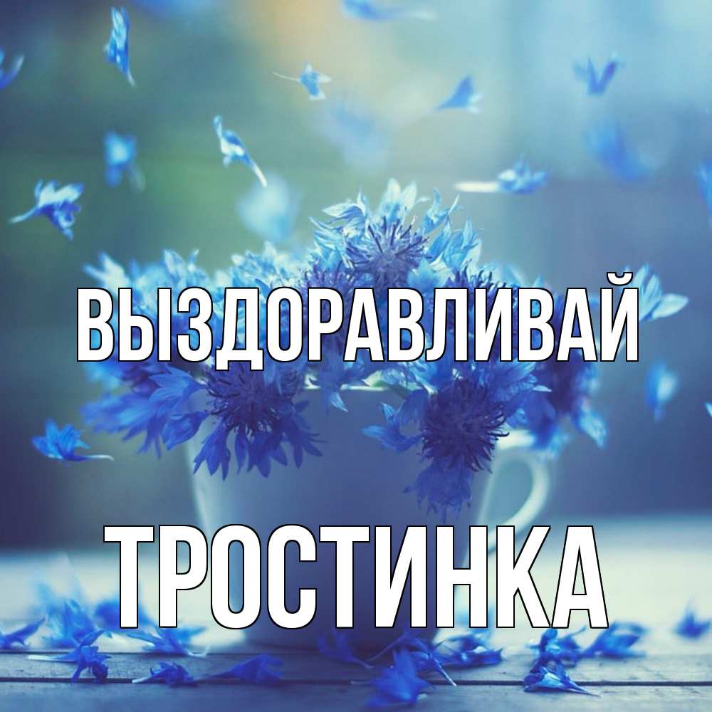 Открытка на каждый день с именем, Тростинка Выздоравливай кружка с зельем и цветами Прикольная открытка с пожеланием онлайн скачать бесплатно 