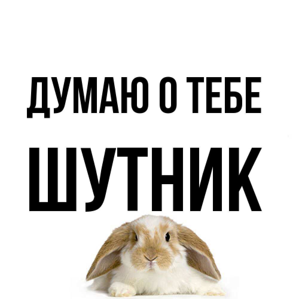 Открытка на каждый день с именем, Шутник Думаю о тебе подписать своими руками онлайн Прикольная открытка с пожеланием онлайн скачать бесплатно 