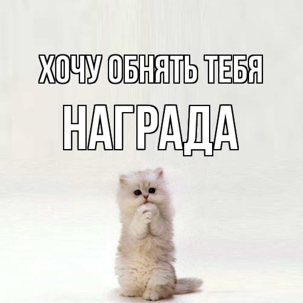 Открытка на каждый день с именем, Награда Хочу обнять тебя открытки с креативными подписями Прикольная открытка с пожеланием онлайн скачать бесплатно 