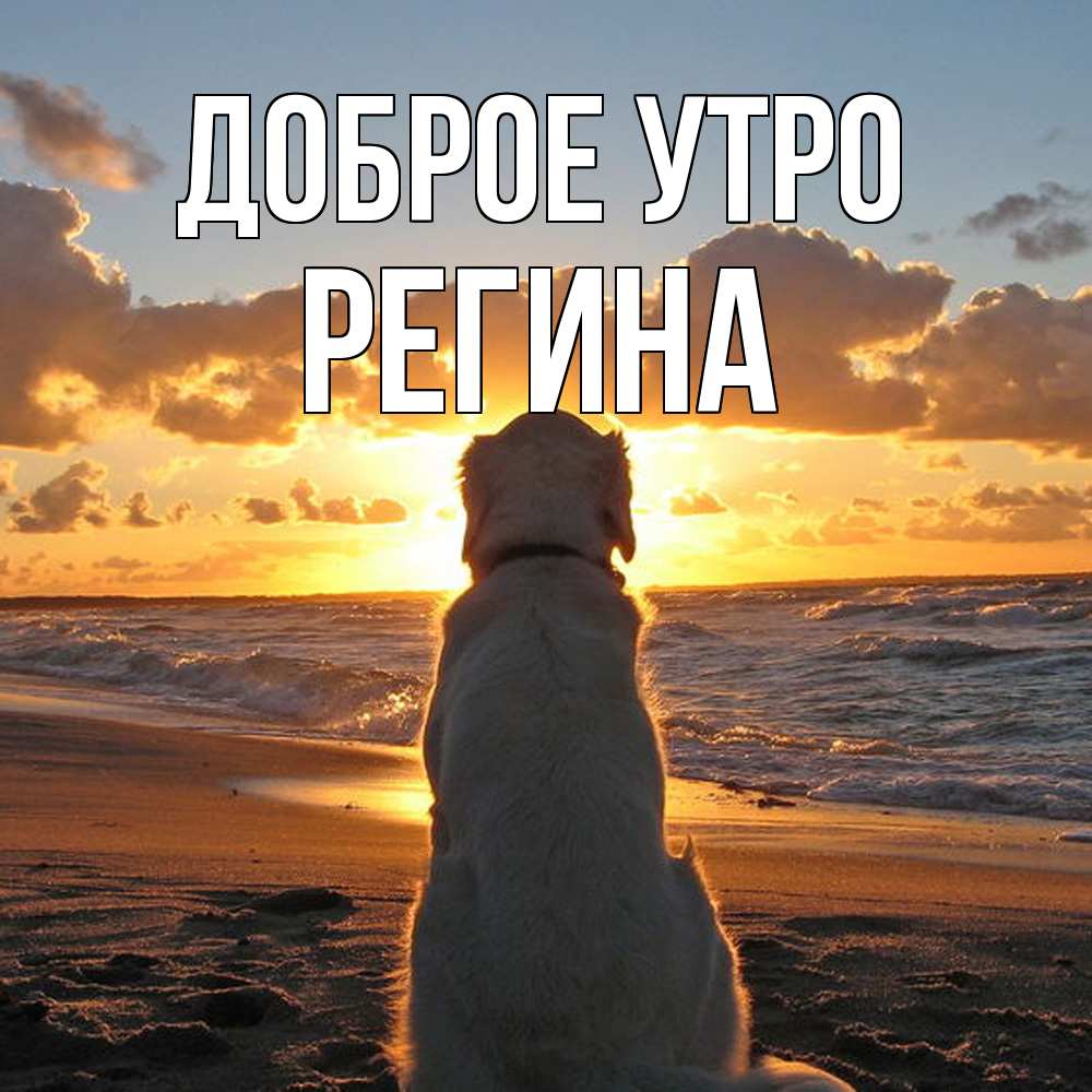 Открытка на каждый день с именем, Регина Доброе утро восход солнца Прикольная открытка с пожеланием онлайн скачать бесплатно 